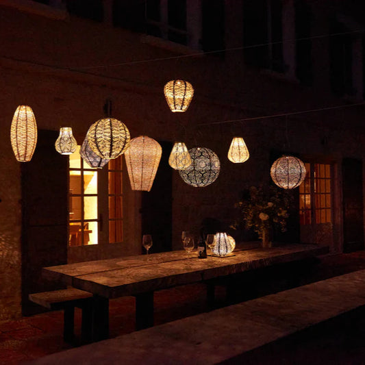 Lantern Tulip 20cm Green Lace