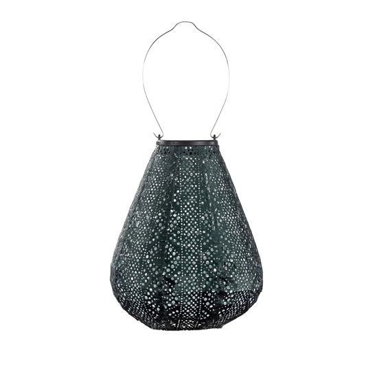 Lantern Tulip 20cm Green Lace
