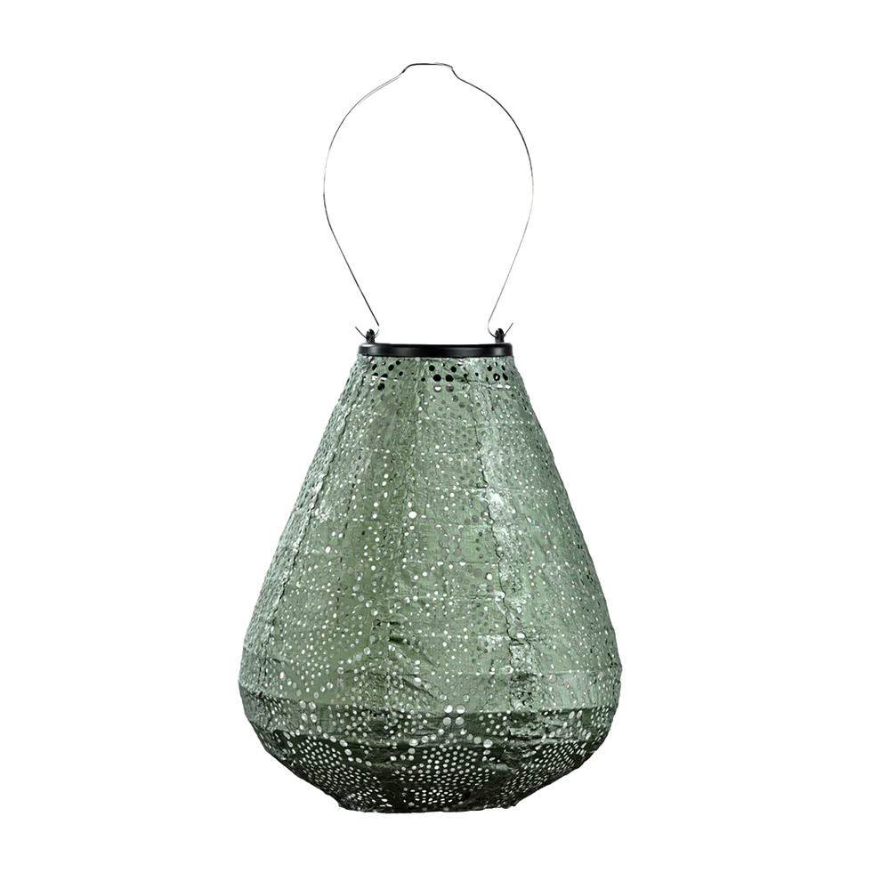 Lantern Tulip 20cm Sage Green