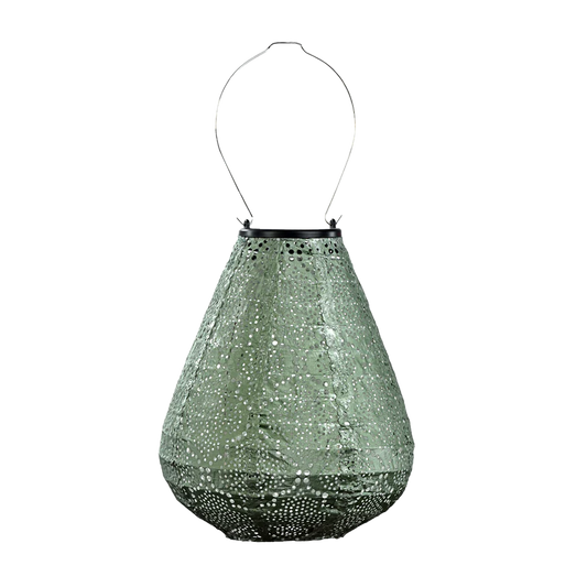 Lantern Tulip 20cm Sage Green
