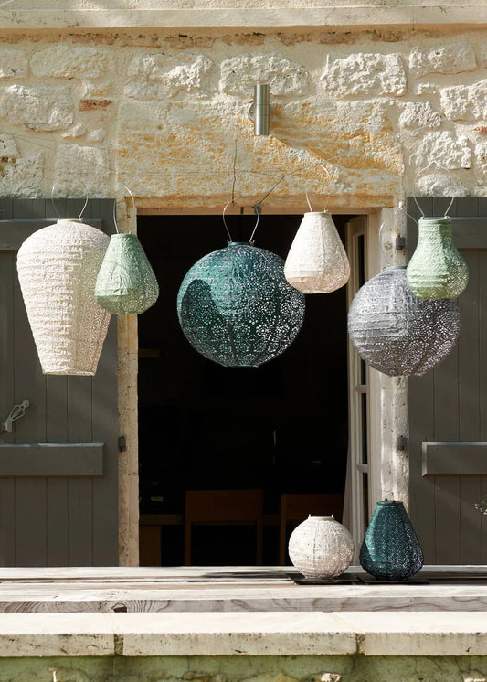 Lantern Tulip 20cm Sage Green